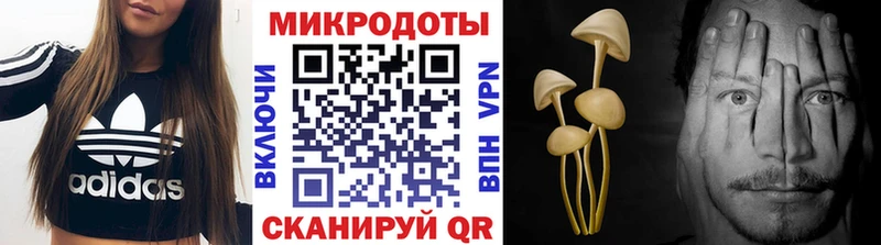 Псилоцибиновые грибы Psilocybe  Мурино 