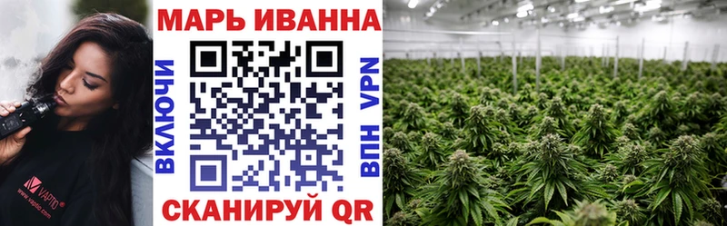 купить   Мурино  Канабис OG Kush 